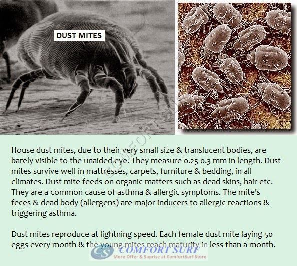 Portable UV 818 UV Light Anti Dust Mite Vacuum Cleaner Bedding Mattress Bed Cleaner With HEPA Filter and IR Sensor