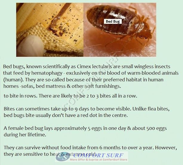 Portable UV 818 UV Light Anti Dust Mite Vacuum Cleaner Bedding Mattress Bed Cleaner With HEPA Filter and IR Sensor