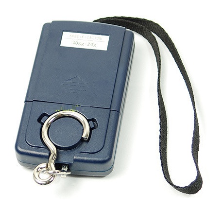 40kg x 10g Portable Electronic Luggage Baggage Travel Scale with Temperature Display