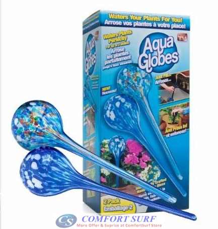 Aqua Globes Auto Watering Plants