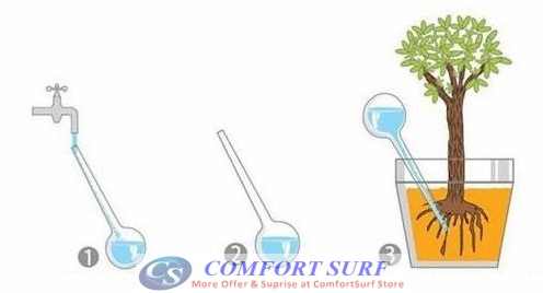 Aqua Globes Auto Watering Plants