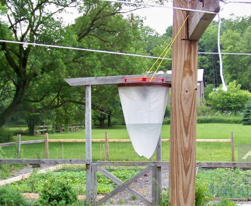 New Flies Away - Catch Flies Outside so they never come Inside!!