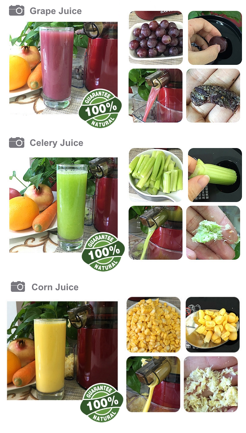 SAVTM JE-07 Slow Juicer 100% Fresh Fruit Juice Extraction Blender Maker