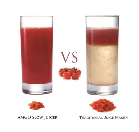 SAVTM JE-07 Slow Juicer 100% Fresh Fruit Juice Extraction Blender Maker