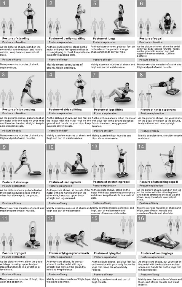 New 999 Adjustable Speed Whole Body Vibration Shaker Shaper Slimming Fitness Exercise