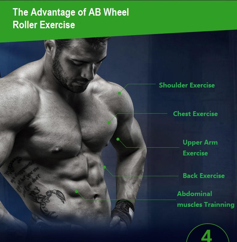 Ab Wheel Double Gym Roller Total Body Revoflex Exercise