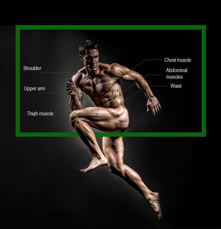 Ab Wheel Double Gym Roller Total Body Revoflex Exercise