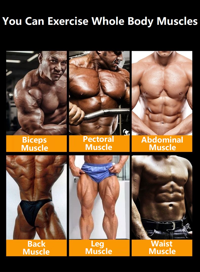 F1 Professional Multifunction Gym Fitness Sit Up Dumbbell FID Bicep Leg Curl Bench Chair