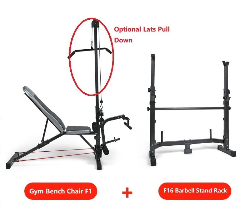 F1 Professional Multifunction Gym Fitness Sit Up Dumbbell FID Bicep Leg Curl Bench Chair